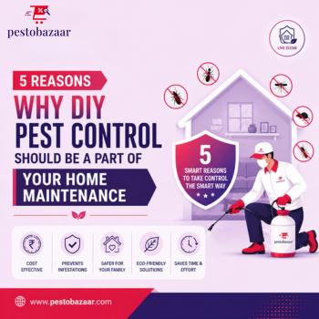 5 Reasons Why DIY Pest Control Should Be A Part of Your Home Maintenance | Pestobazaar