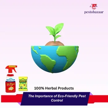 The Importance of Eco-Friendly Pest Control: A Safe and Sustainable Approach