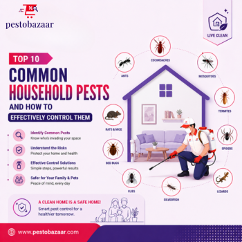 Top 10 Common Household Pests and How to Effectively Control Them