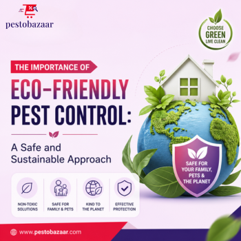 The Importance of Eco-Friendly Pest Control: A Safe and Sustainable Approach