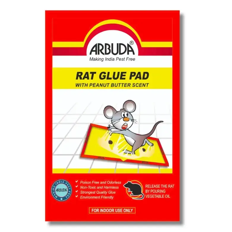 Rat Glue Pad - Eco