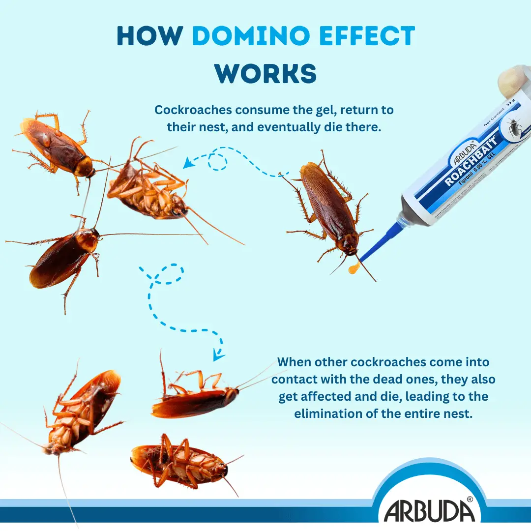 Arbuda Roachbait Gel 35 g + Roachnil 1 L