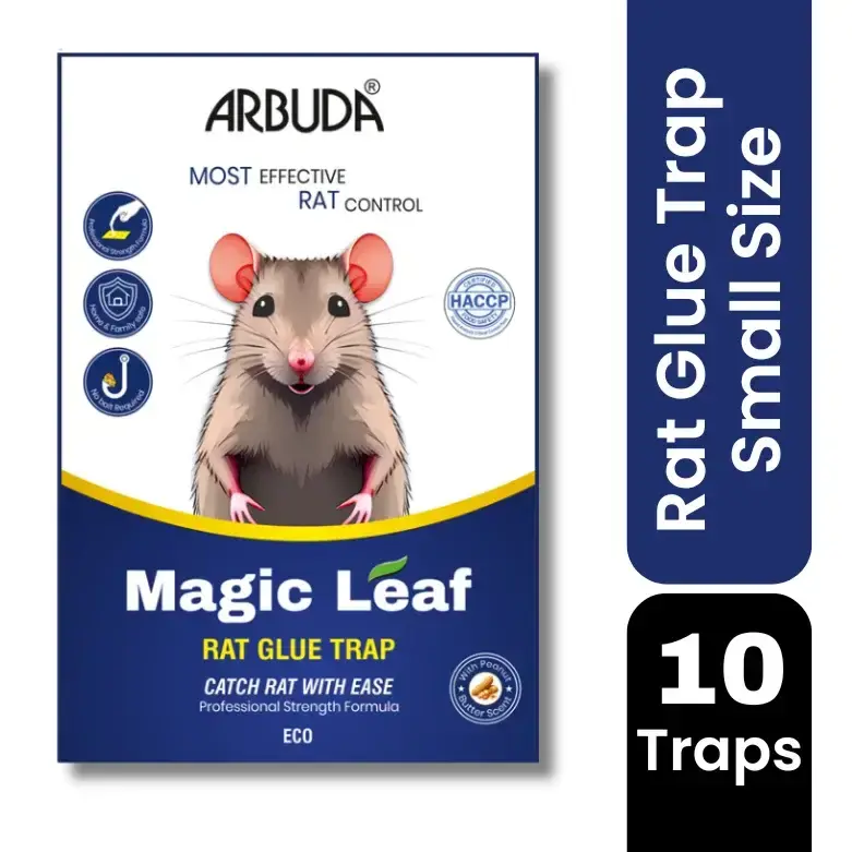 Magic Leaf - Small Size Pack of 10 Qty | Rat Glue Trap