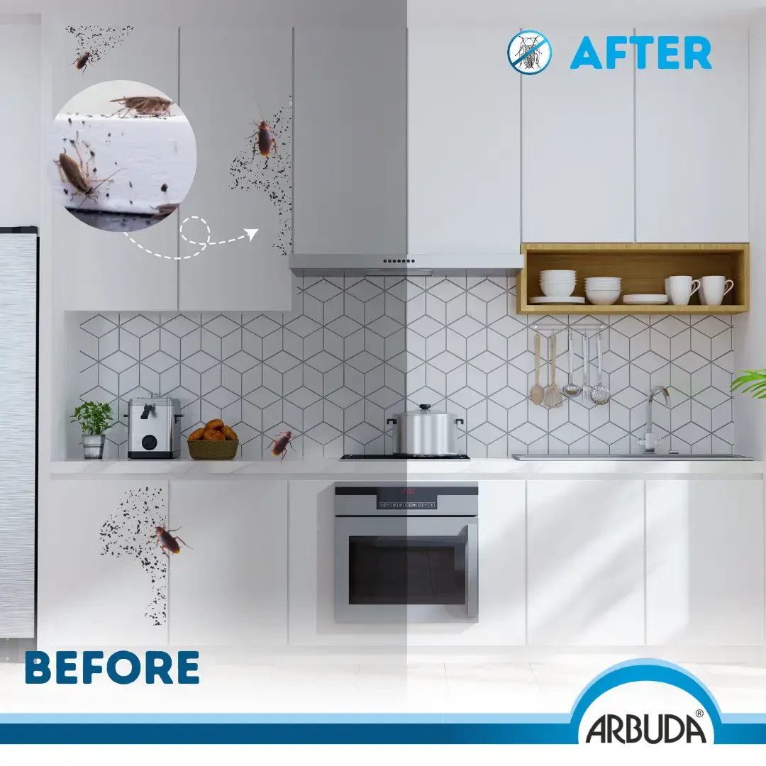 Flyquit Insecticide Pack of 5 | Propoxur 20% EC for Cockroach, Bedbug, Fly & Mosquito Control | Fast Knockdown Pest Control Solution