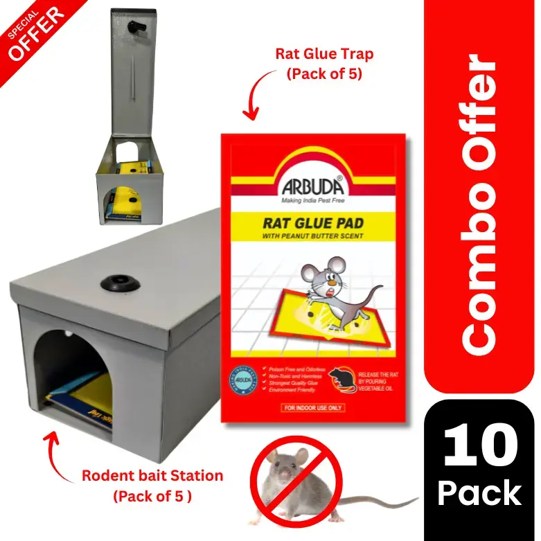 Rodent Bait Station (Metal) Pack of 5  Qty with Small Rat Glue Pads (Pack of 5 Qty)