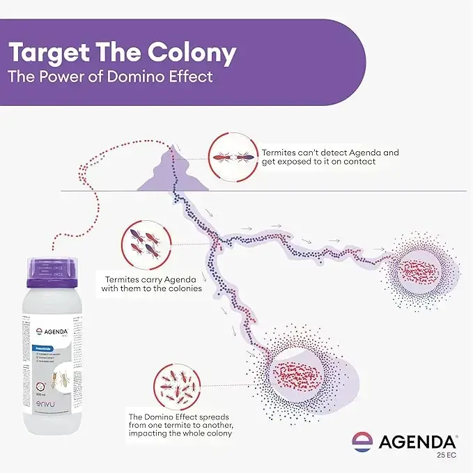 Agenda EC 500 ml Pack of 2 Termite Killer | Fipronil Termite Treatment for Wood & Furniture | Pre & Post Construction Deemak Control | Long Lasting Protection