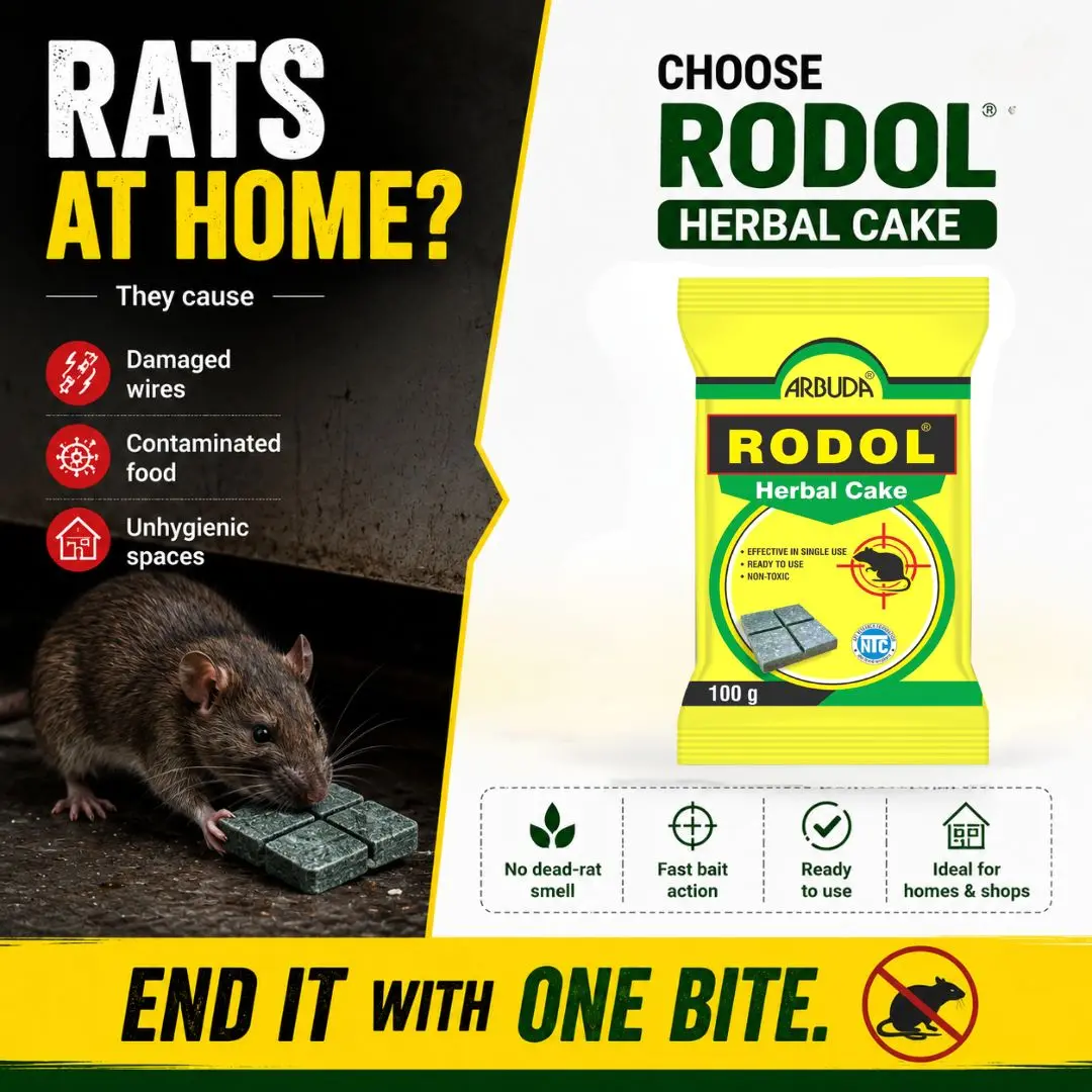 Rodol - Herbal Rat Killer Cake