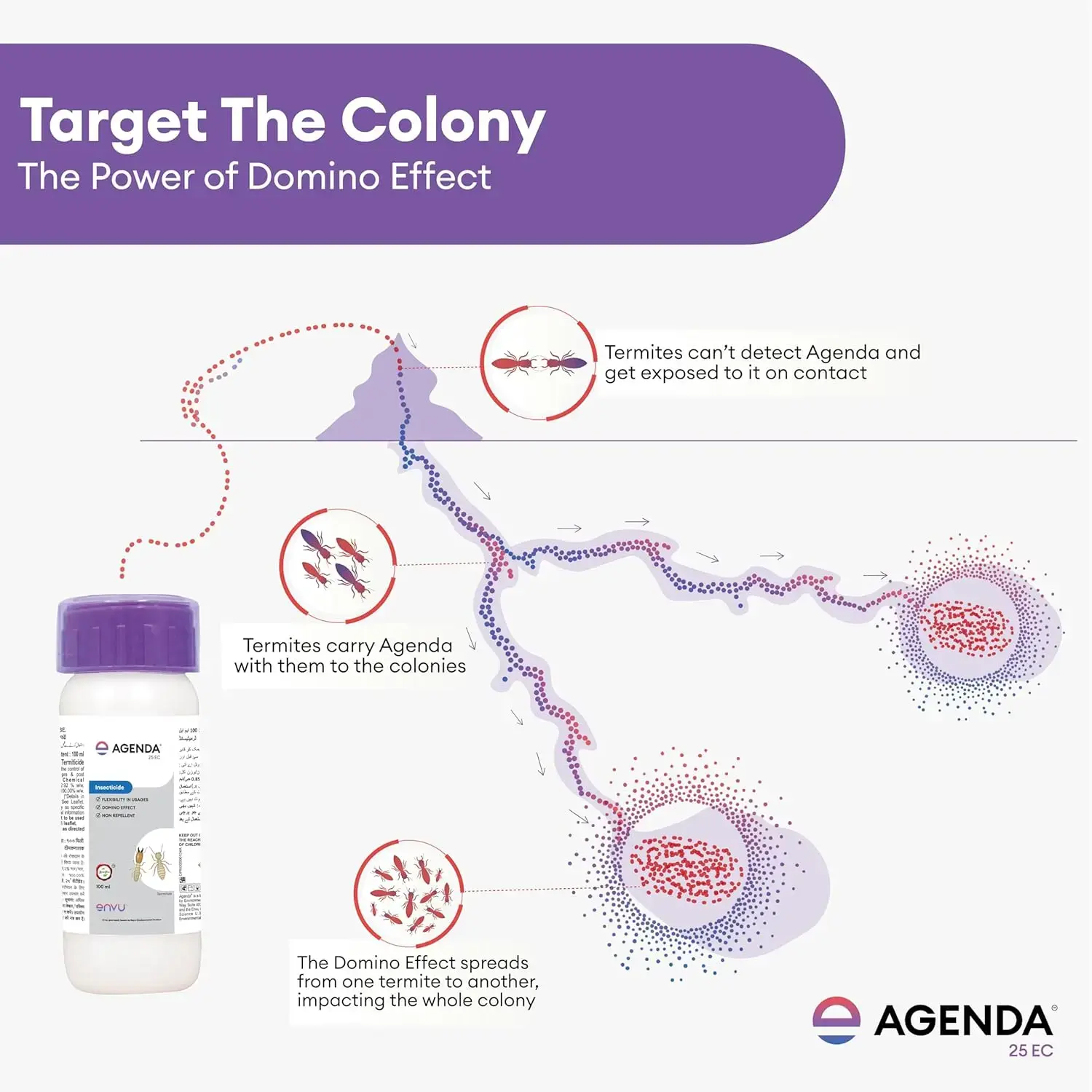 Agenda EC 100 ml Pack of 2 Termite Killer | Fipronil Termite Treatment for Wood & Furniture | Pre & Post Construction Deemak Control | Long Lasting Protection