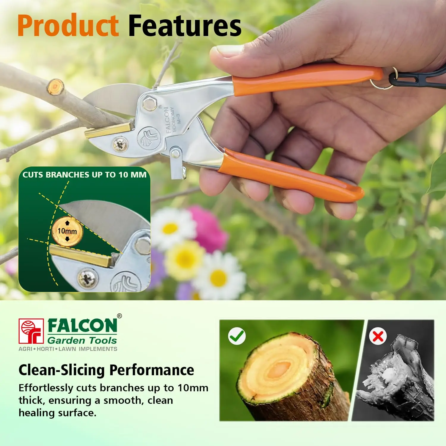 Falcon Pruning Secateurs Economy M-3 Garden Cutter