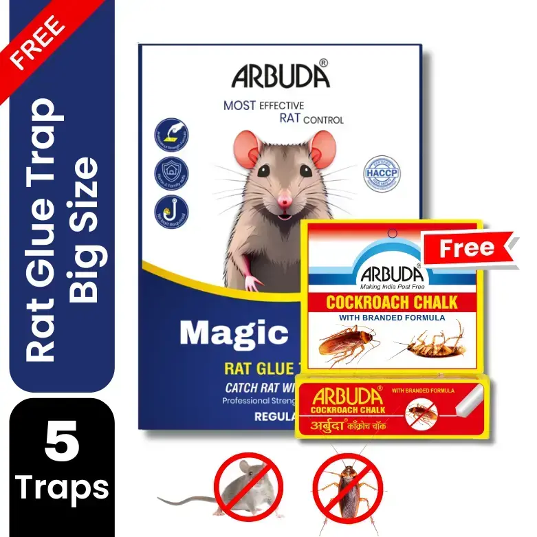 Magic Leaf Rat Glue Trap Big Size (Pack of 5) + FREE Arbuda Cockroach Chalk 1 Qty