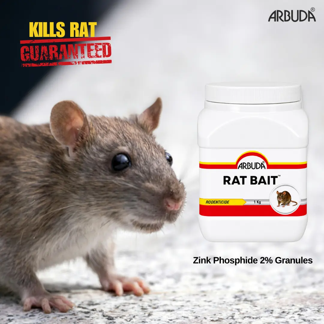 Rat Bait image 4