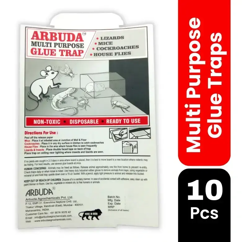 Multipurpose Glue Trap - Pack of 10