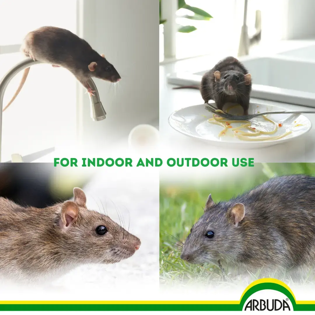 Rodol - Herbal Rat Killer Cake