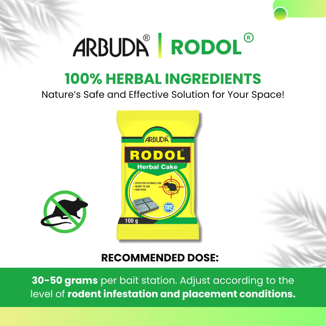 Rodol Herbal Rat Killer Cake 100g (Pack of 10)