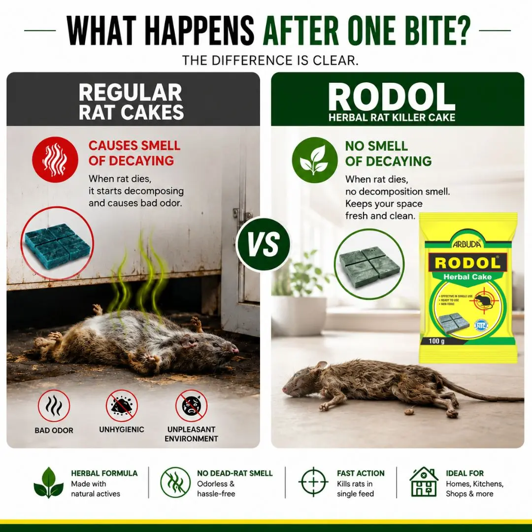 Rodol - Herbal Rat Killer Cake