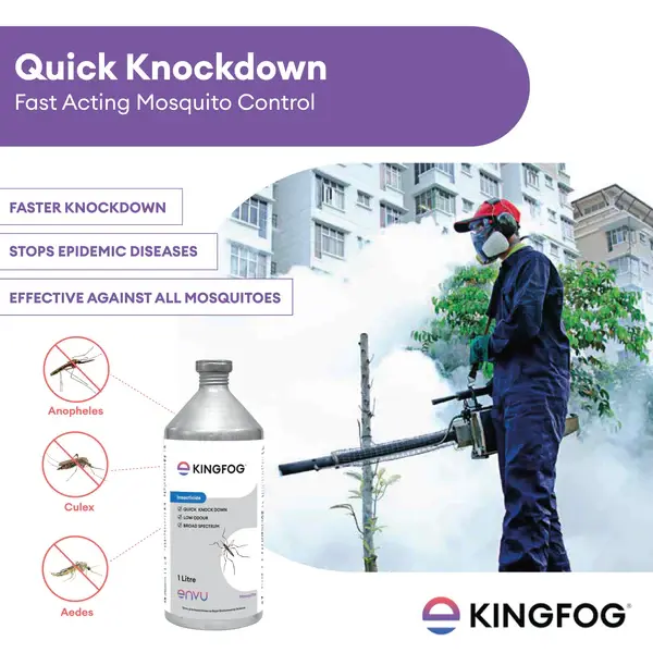 Kingfog