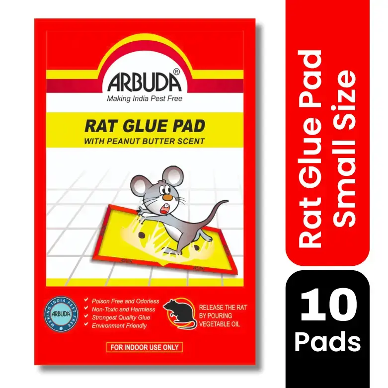 Rat Glue Pad - Small size  - (Pack of 10)