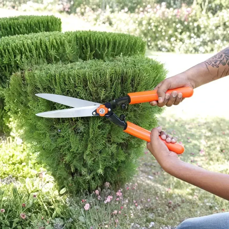 Falcon Hedge Shear FHS-999(P) | Premium Hedge Trimmer with Hardened Steel Blade & PVC Grip