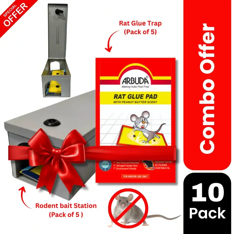 Rodent Bait Station (Metal) Pack of 5 with Small Rat Glue Pads (Pack of 5)