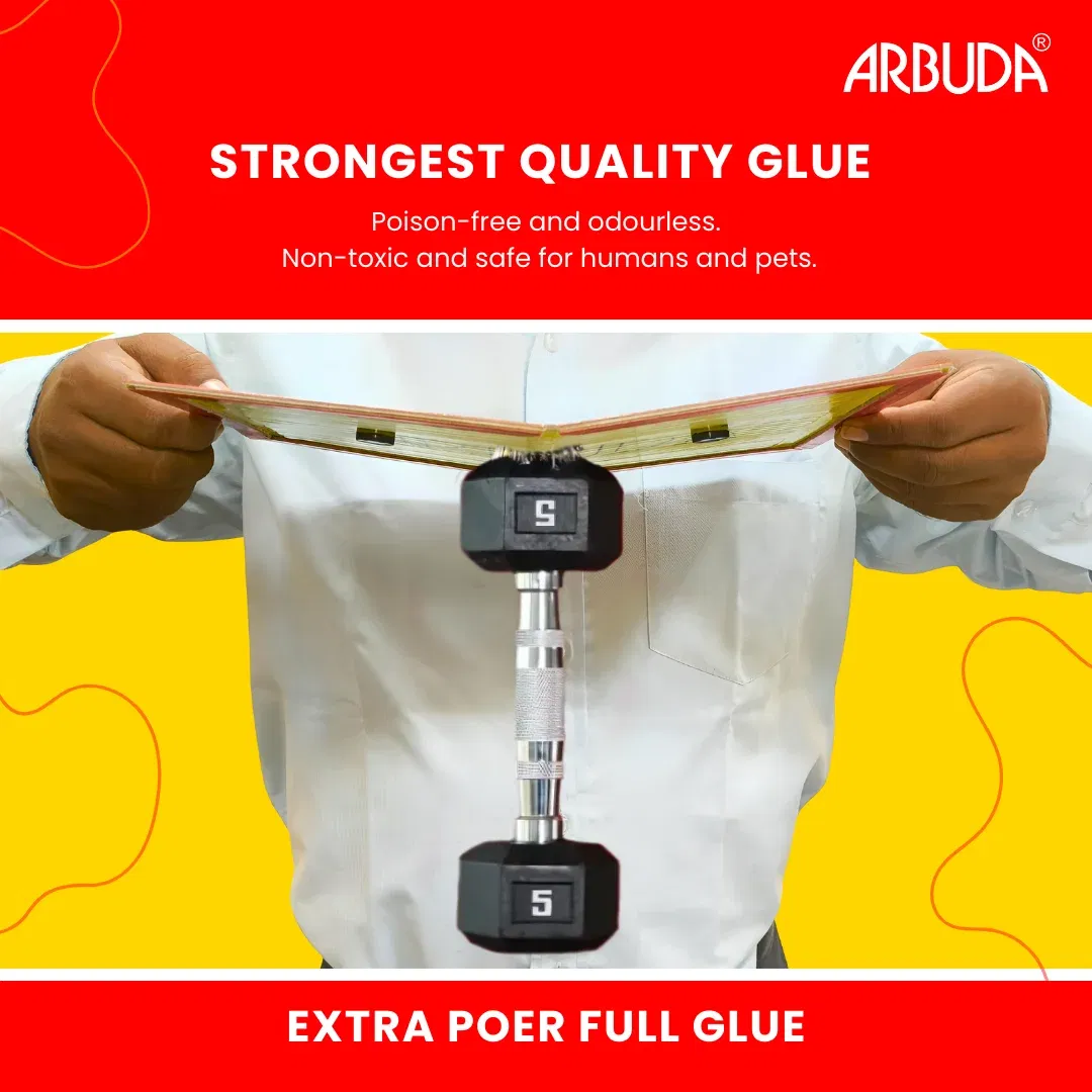 Rodent Bait Station (Plastic) Pack of 5 with Small Rat Glue Pads (Pack of 5)