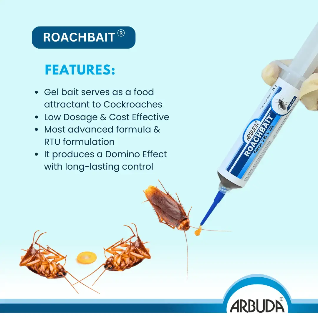 Roachbait Cockroach Killer Gel ( Pack of 4 )