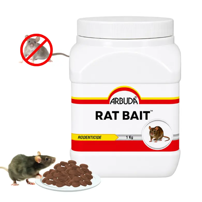 Rat Bait
