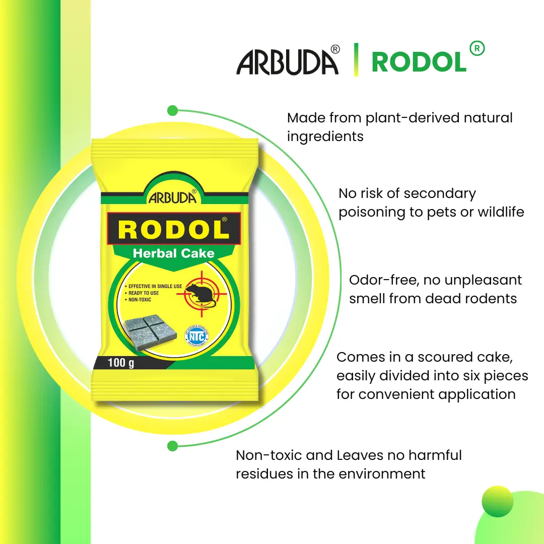 Rodol Herbal Rat Killer Cake 100g (Pack of 10)