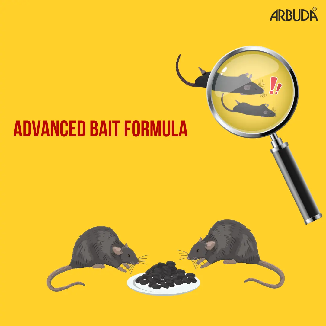 Rat Bait image 7