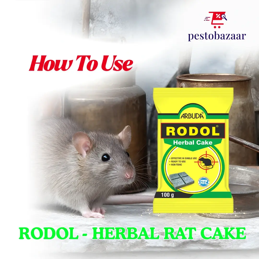 Rodol Herbal Rat Killer Cake 100g (Pack of 10 Qty)