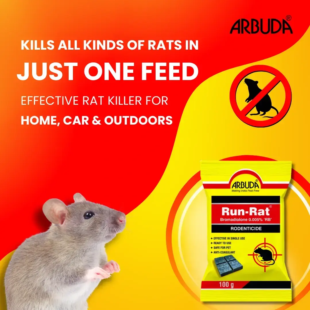 Run Rat - Kills Rat, Mouse and Rodents - (Pack of 10 Qty)