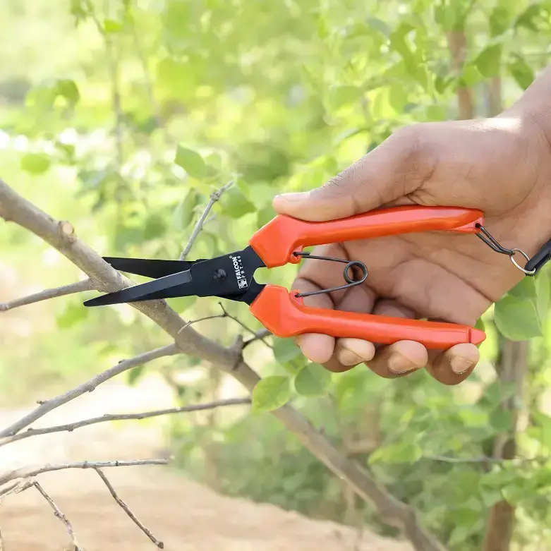 Falcon FBT-40 Rose Cutter Pruning Secateur | Bypass Garden Cutter for Flowers & Bonsai Plants | Sharp Steel Blade Hand Pruner