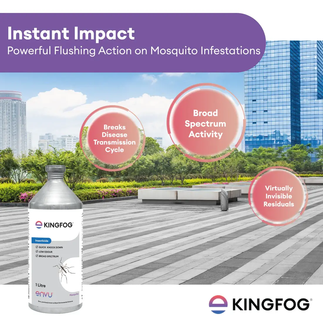 Kingfog