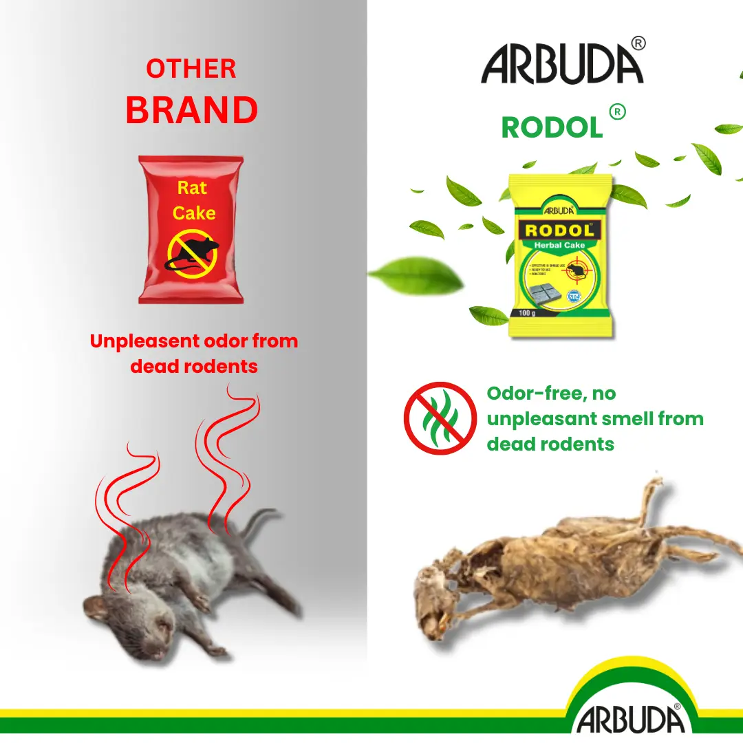 Rodol Herbal Rat Killer Cake 100g (Pack of 10)
