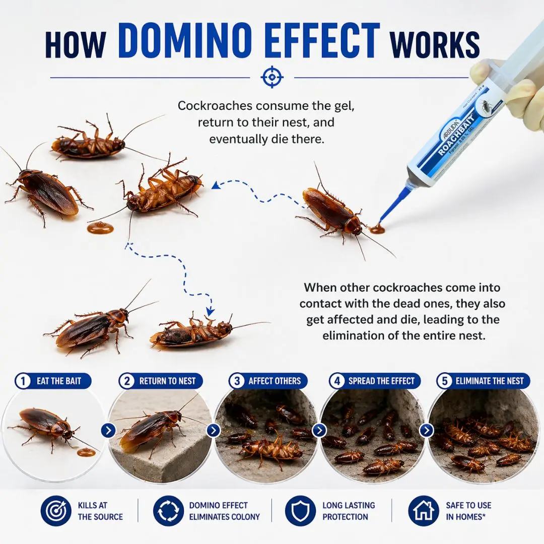 Roachex 1 Ltr + Roachbait Gel 35 g Combo Pack | Propoxur 20% EC Insecticide for Cockroach, Bedbug, Ant & Fly Control | Fast Knockdown Pest Control Solution