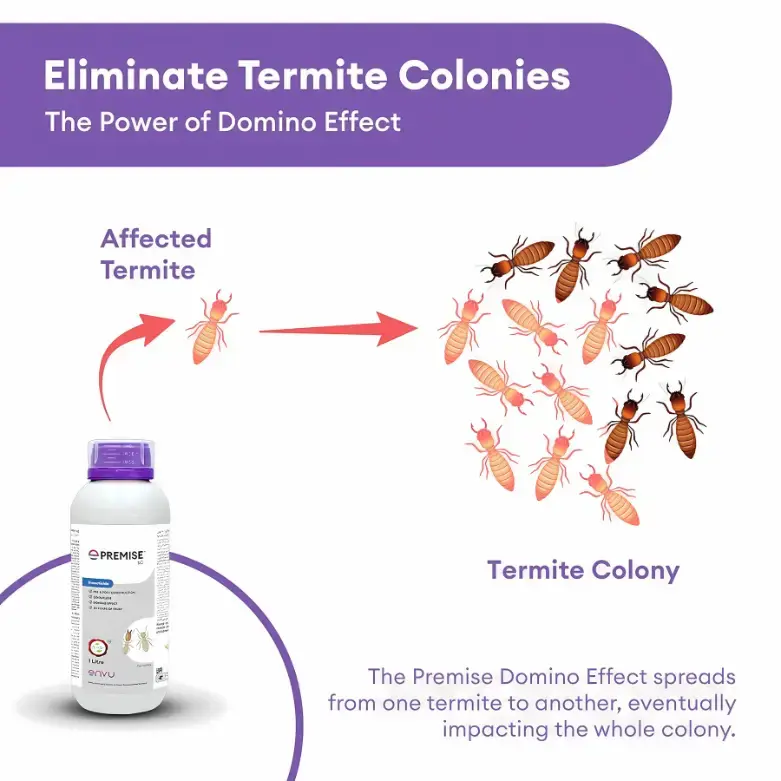 Premise Termite (Deemak) Killer Pack of 2 | Imidacloprid 30.5% SC for Pre & Post Construction Termite Treatment | Long Lasting Deemak Control Chemical