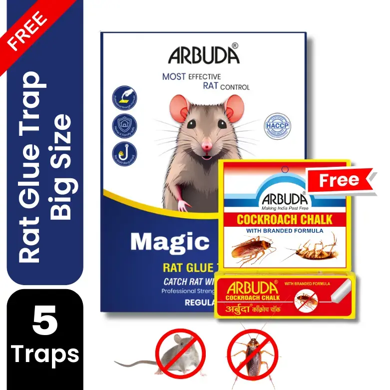 Magic Leaf Rat Glue Trap Big Size (Pack of 5) + Free Arbuda Cockroach Chalk