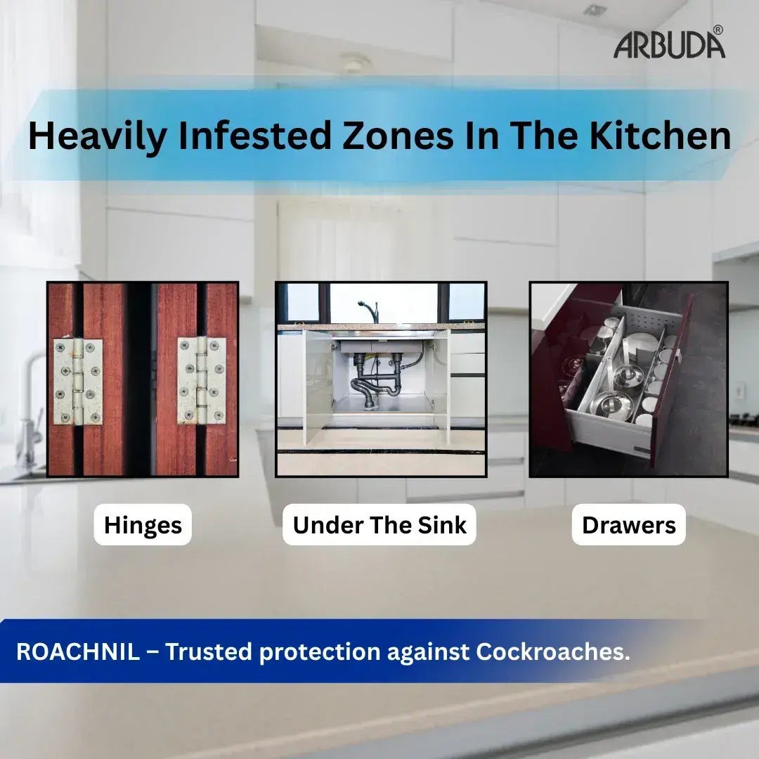 Roachnil Odorless Insecticide Pack of 10 | Alphacypermethrin 10% SC for Cockroach, Mosquito & Fly Control | Long Lasting Pest Control Solution
