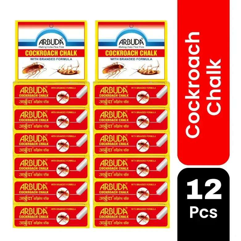 Cockroach Chalk - Pack of 12