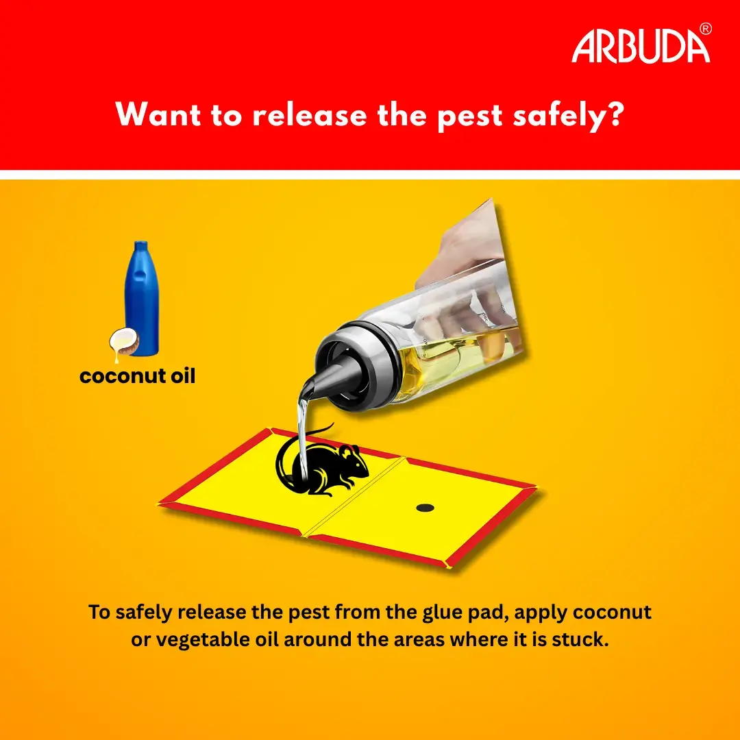 Arbuda Foldable Plastic Rodent Bait Station (RBS) Pack of 10 with Small Rat Glue Pads (Pack of 10) | Lockable Rat & Mouse Control Box