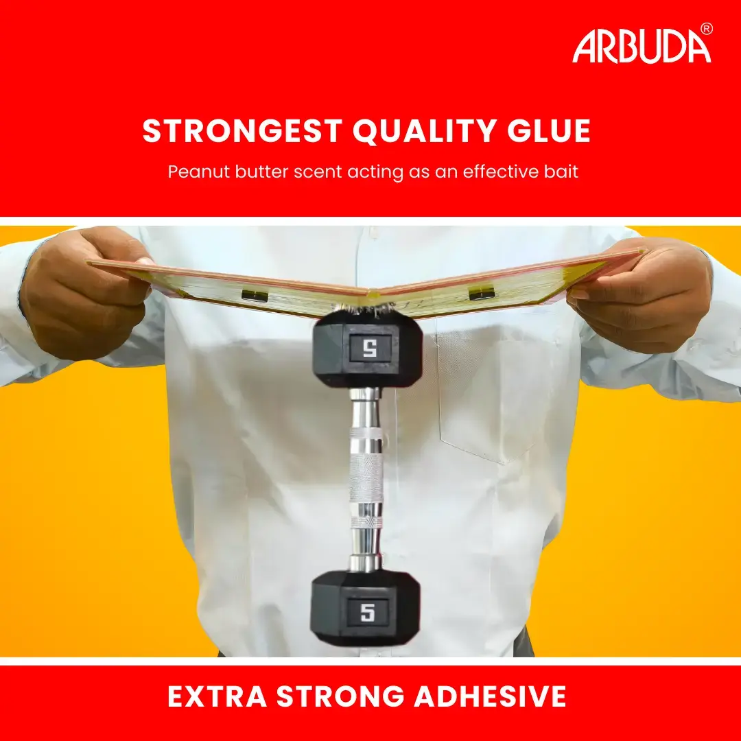 Rat Glue Pad - Small size  - (Pack of 10)