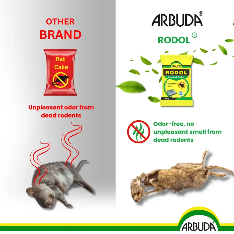 Rodol - Herbal Rat Killer Cake