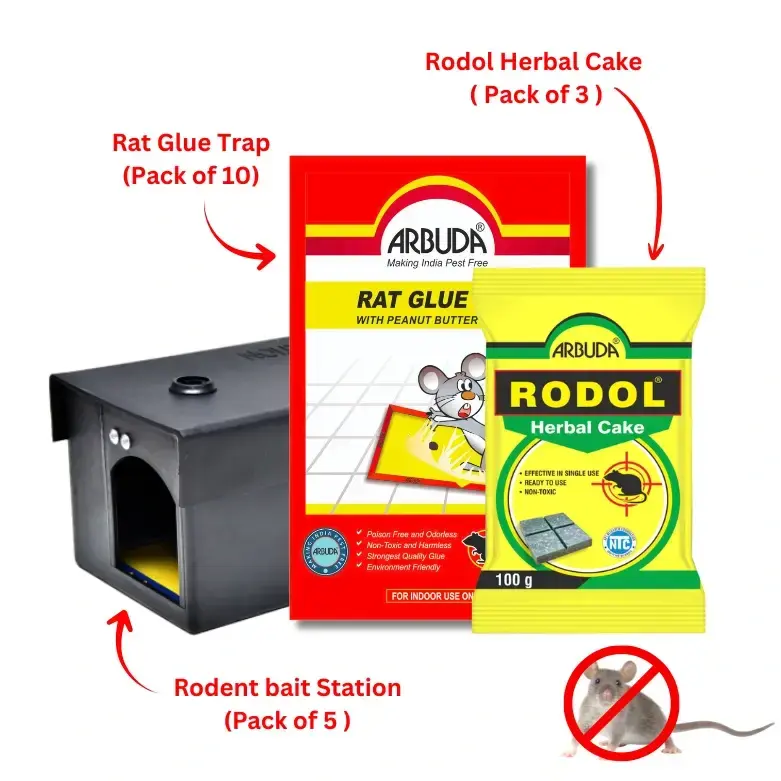 Plastic Rodent Bait Station (Pack of 5) + Small Rat Glue Pads (Pack of 10) + Rodol Herbal Cake 100 gm (3 Qty) + 1 Automatic Multi Rat Trapper