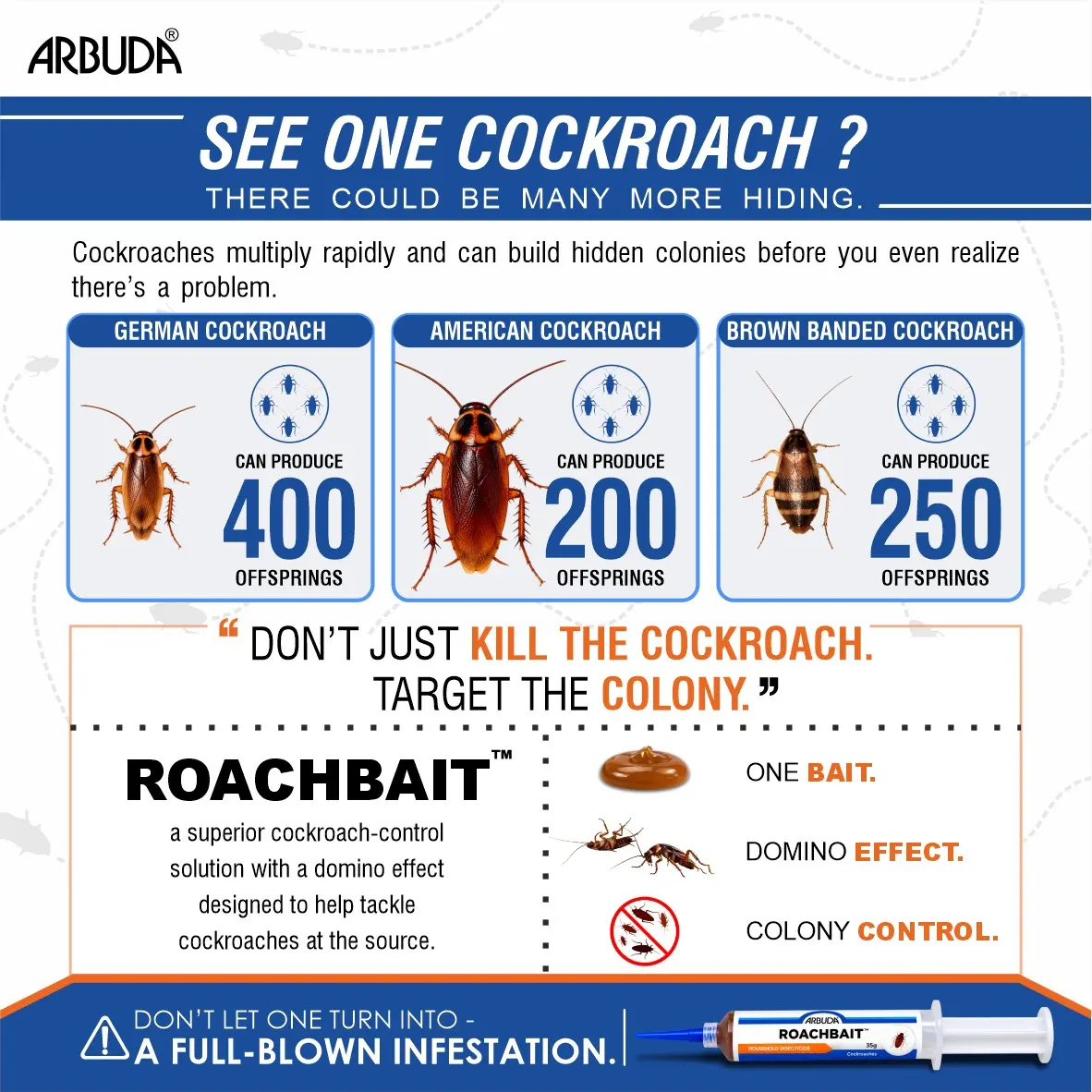 Roachbait Cockroach Killer Gel Fipronil 0.05% (Pack of 5 × 35g)