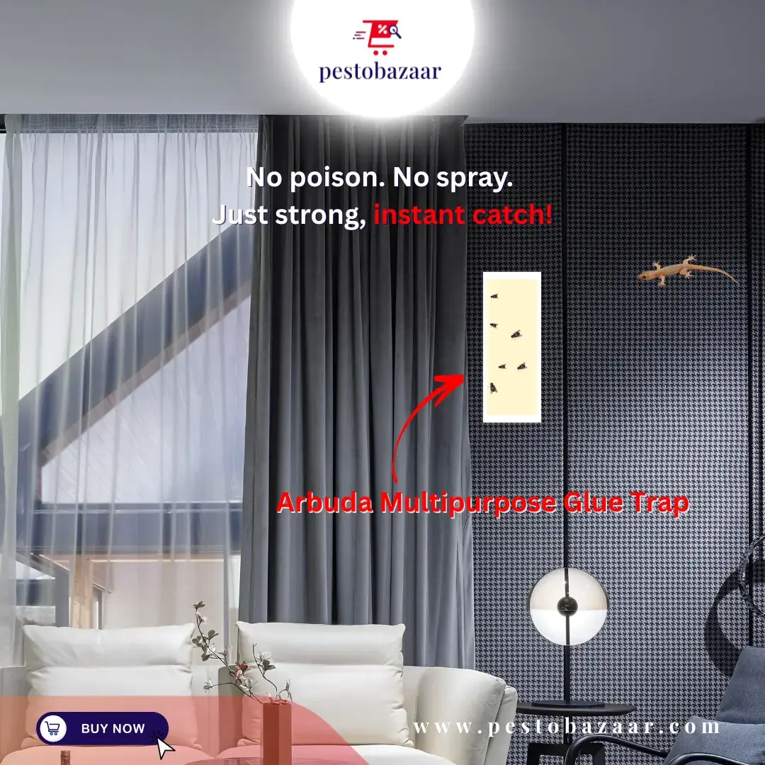 Multipurpose Glue Trap - Pack of 10