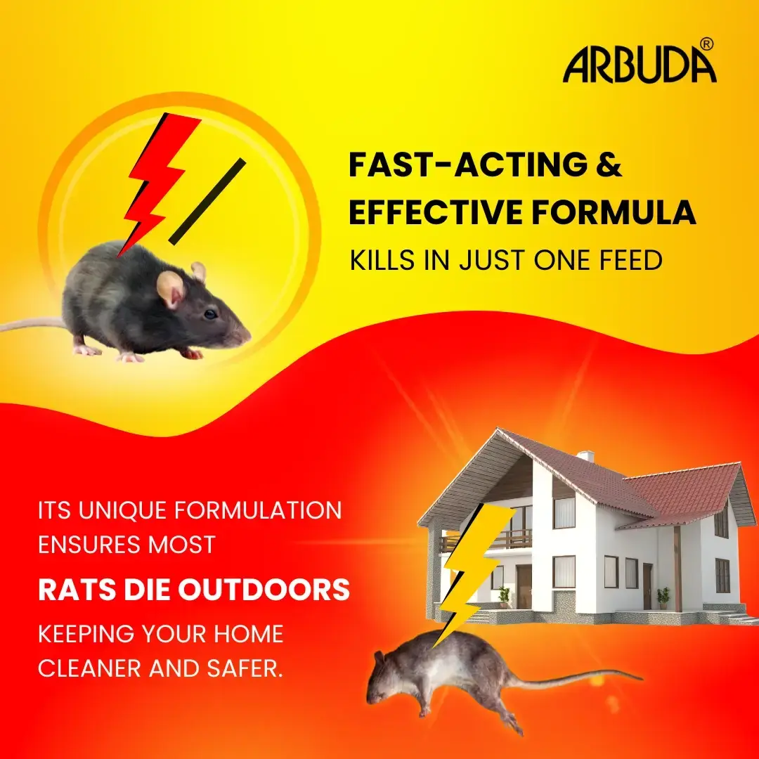 Run Rat - Kills Rat, Mouse and Rodents - (Pack of 3 Qty)