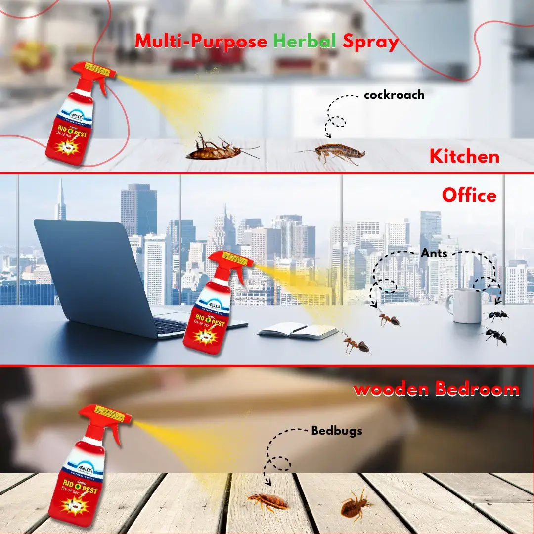 Rid-O-Pest 250 ml + Arban RTU 500ml