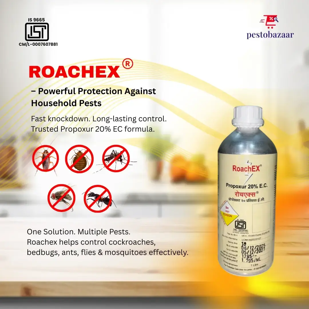 Roachex