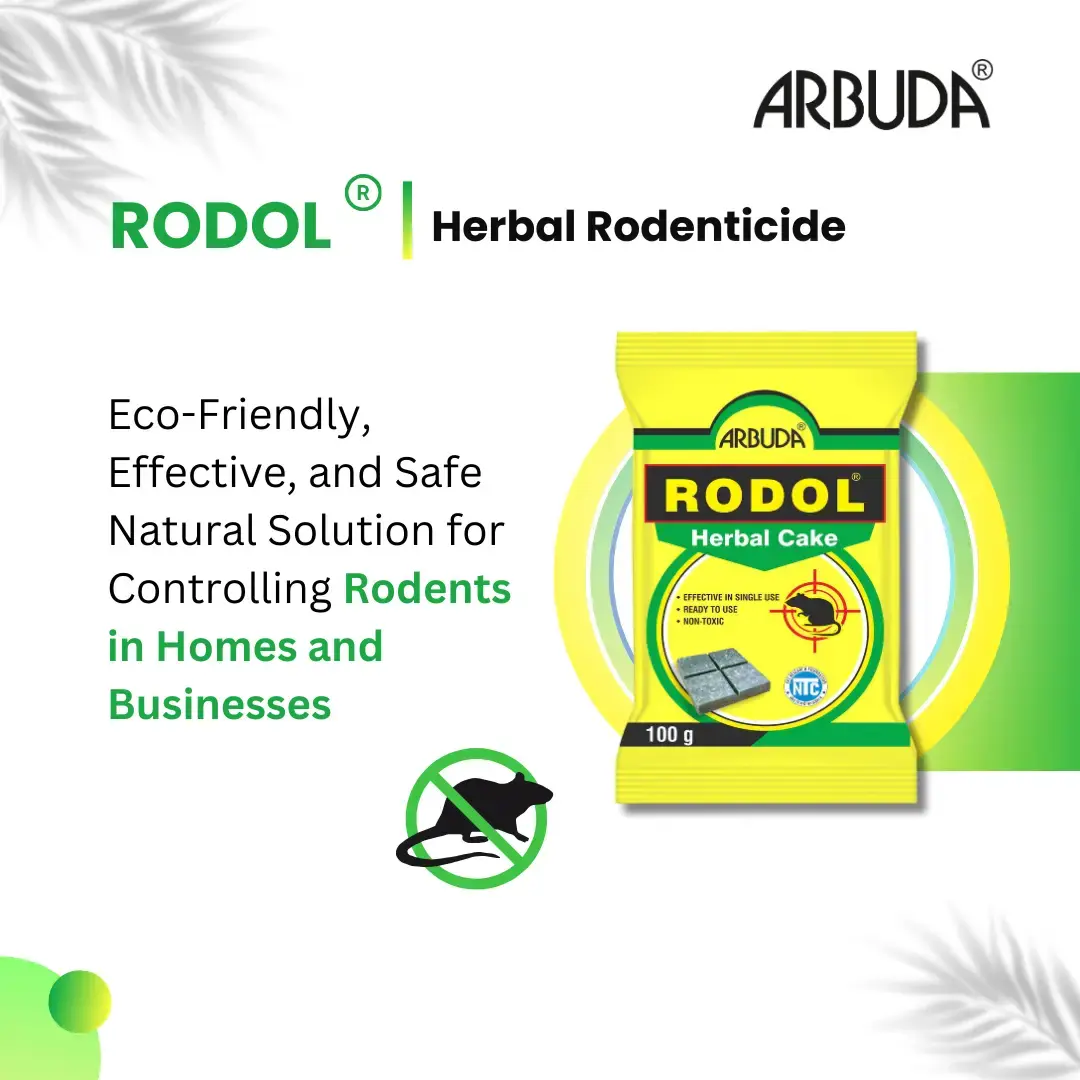 Rodol - Herbal Rat Killer Cake