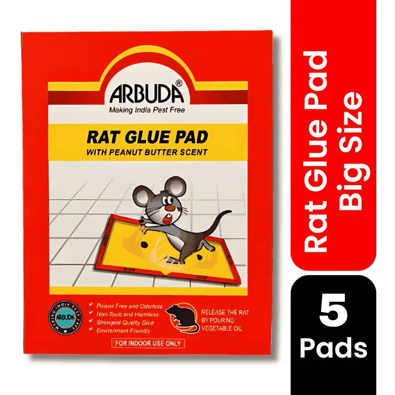 Rat Glue Pad